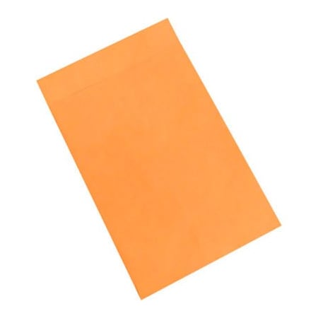 Box Packaging Jumbo Ungummed Envelopes, 18-1/2"W x 12-1/2"H, Kraft, 100/Pack EN1080